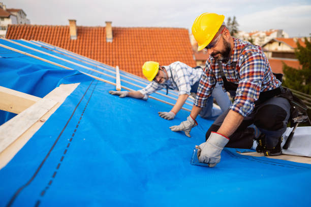 Best Metal Roofing Contractor  in Floris, VA