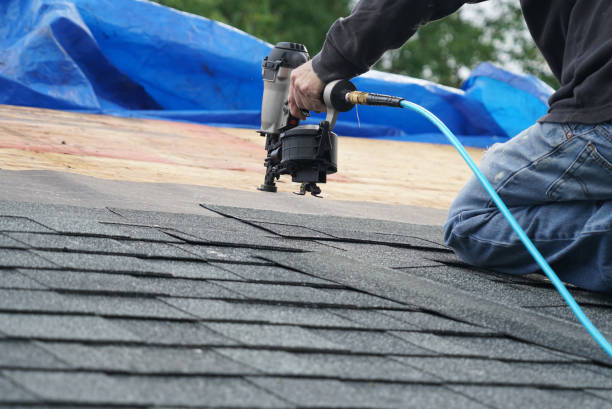 Best Sealant for Roof  in Floris, VA