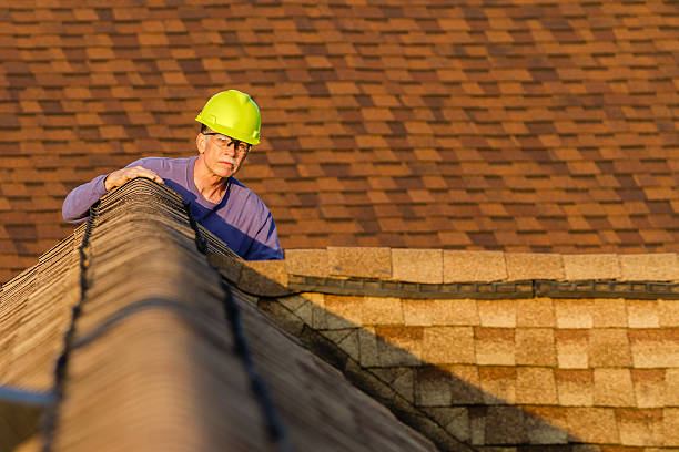 Best Roof Gutter Cleaning  in Floris, VA