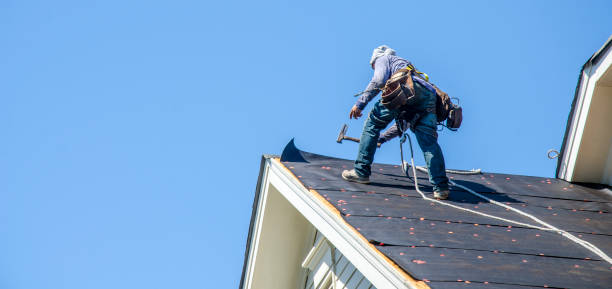 Best Local Roofing Companies  in Floris, VA